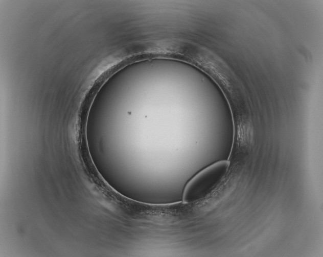 X0000113360724200909291029