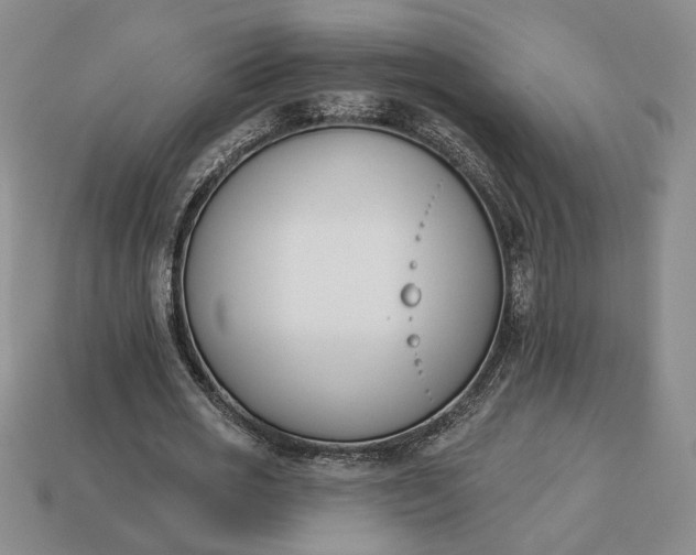 X0000113360725200909291029