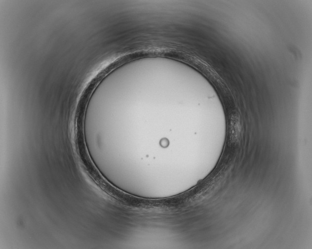 X0000113360726200909291029