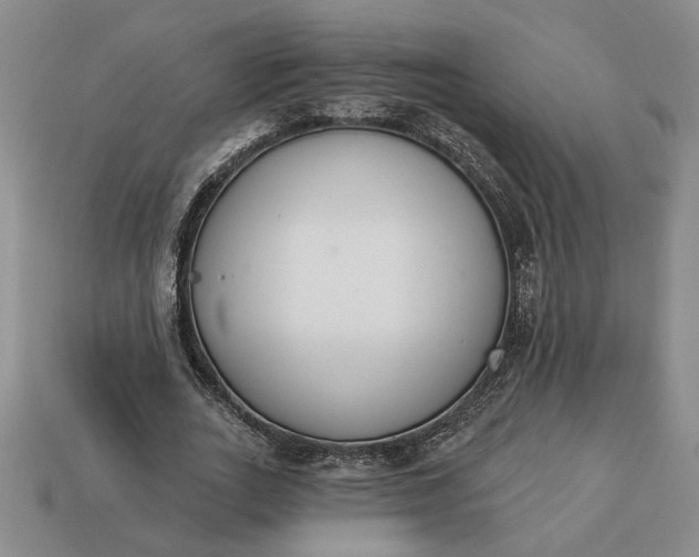 X0000113360727200909291029