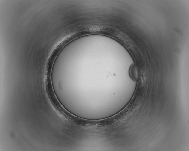 X0000113360728200909291029