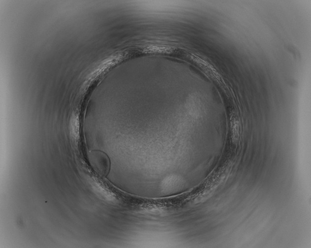 X0000113360729200909291029