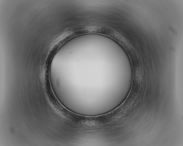 X0000113360730200909291029