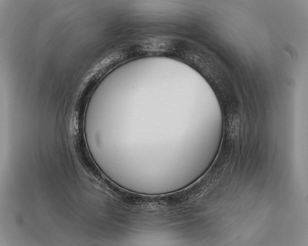 X0000113360731200909291029