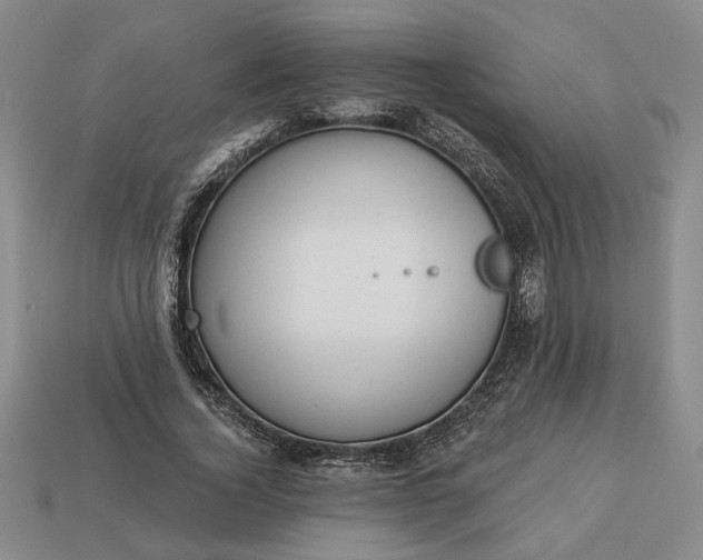 X0000113360732200909291029