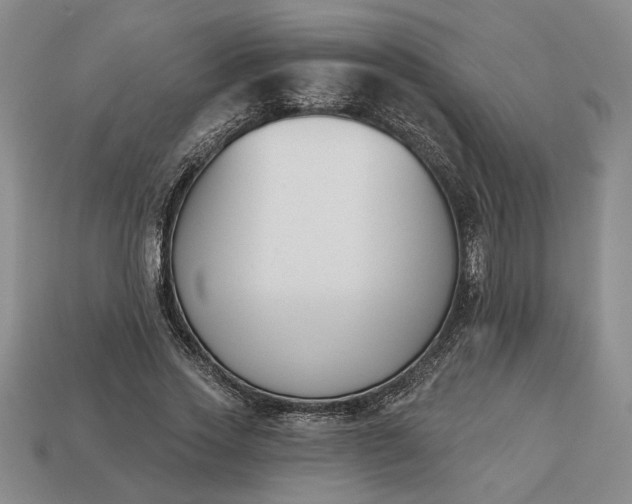 X0000113360733200909291029