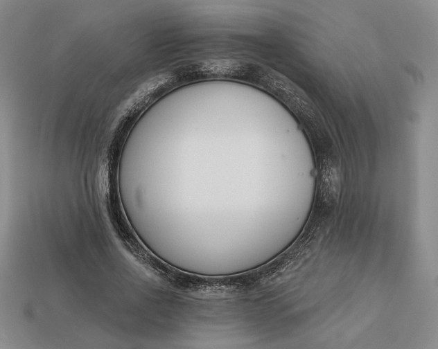 X0000113360734200909291029