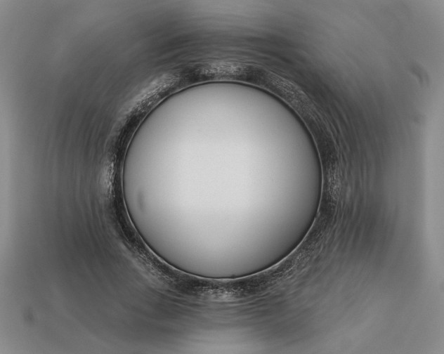 X0000113360735200909291029