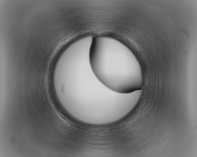 X0000113360736200909291029