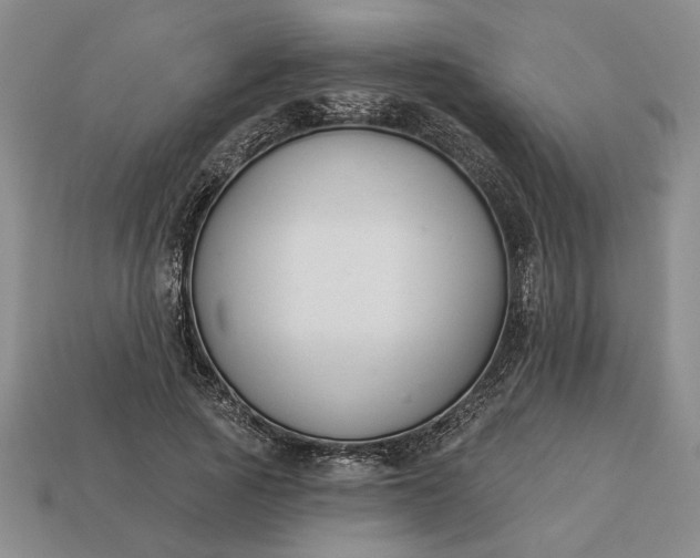 X0000113360737200909291029