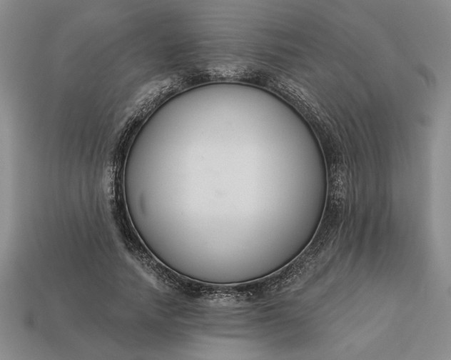 X0000113360738200909291029