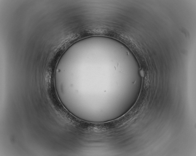 X0000113360739200909291029