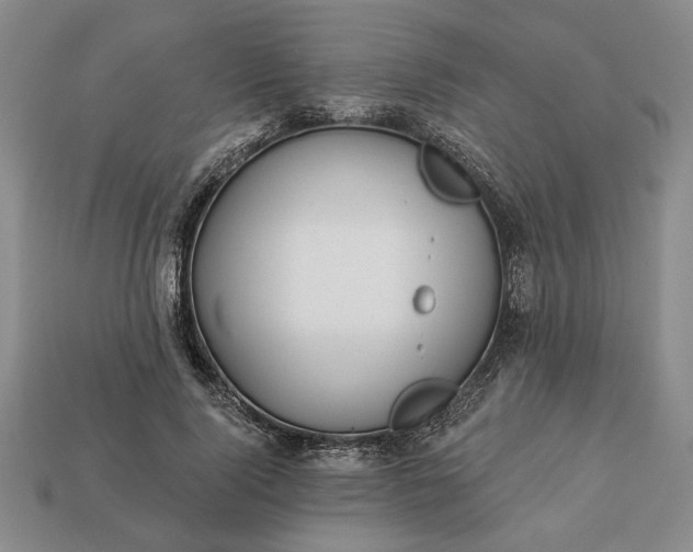 X0000113360740200909291030