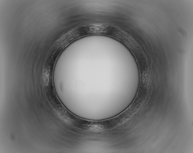 X0000113360741200909291030