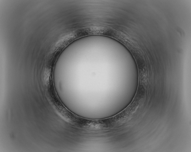 X0000113360742200909291030