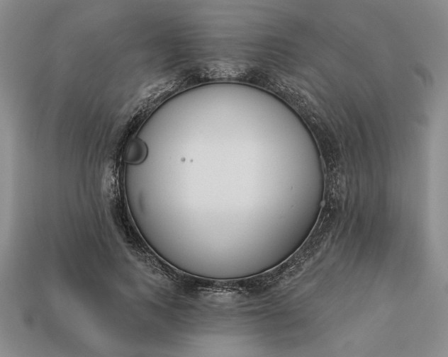 X0000113360743200909291030