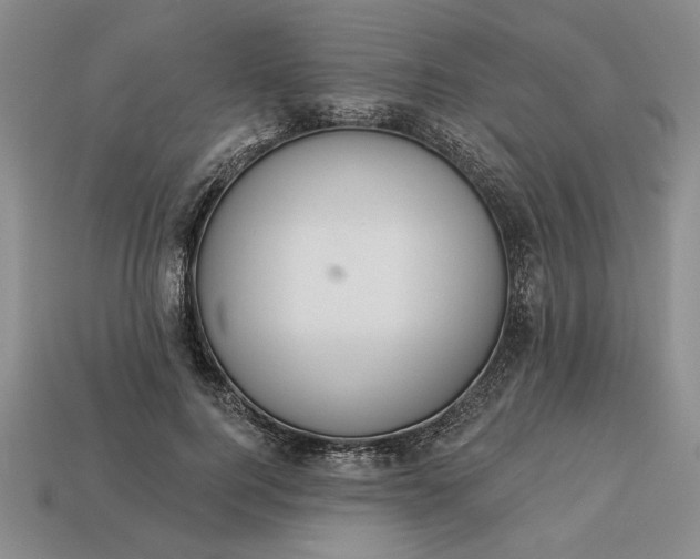 X0000113360744200909291030