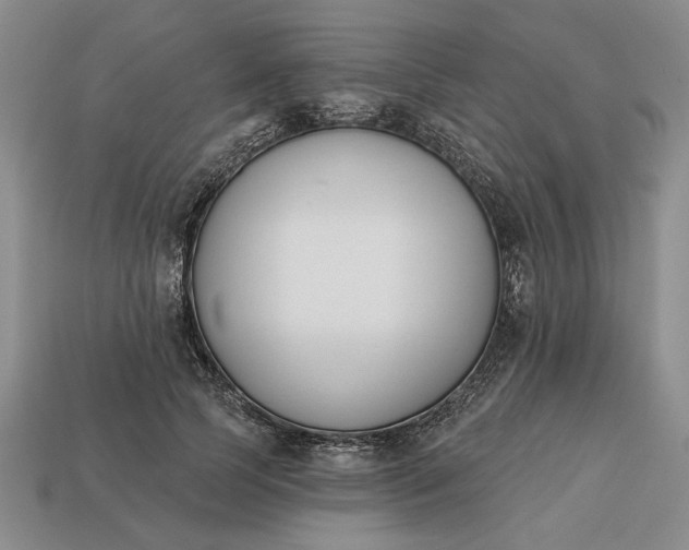 X0000113360745200909291030