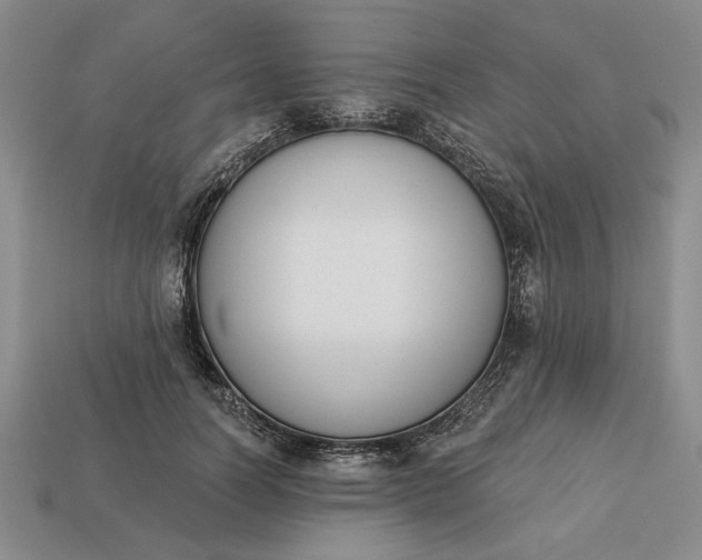 X0000113360746200909291030