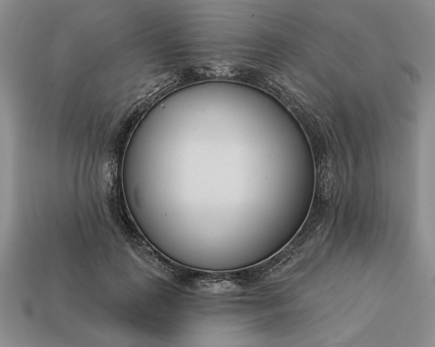 X0000113360747200909291030