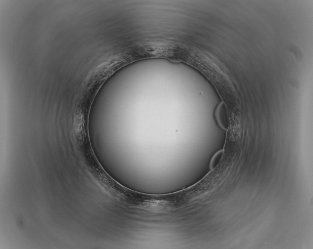 X0000113360748200909291030