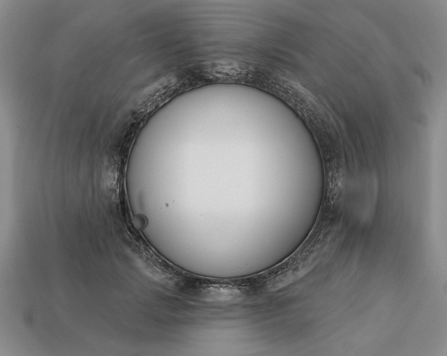 X0000113360749200909291030