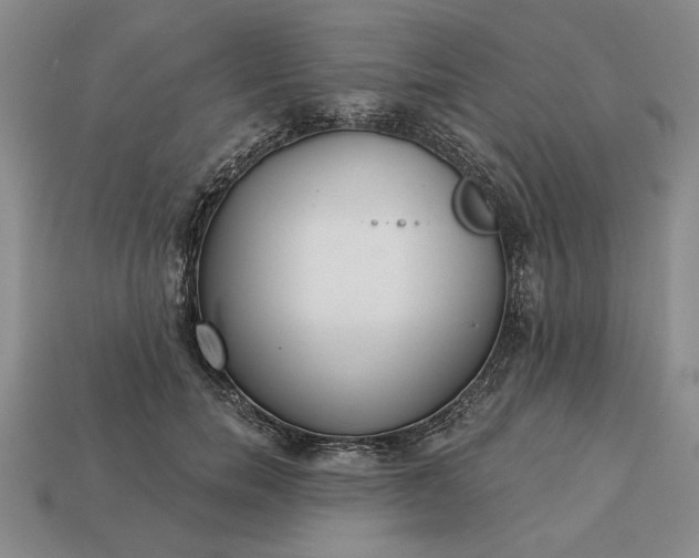 X0000113360750200909291030