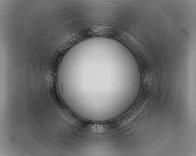 X0000113360751200909291030