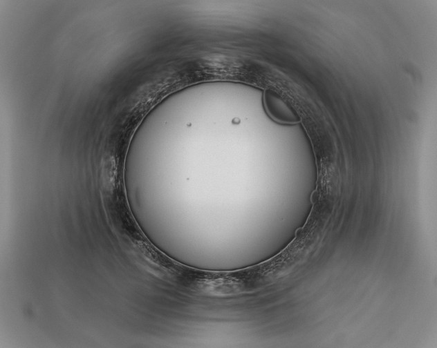 X0000113360752200909291030