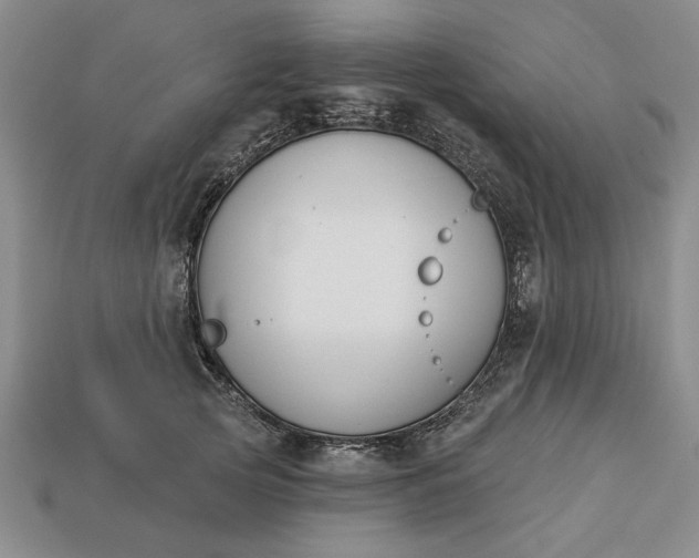 X0000113360753200909291030