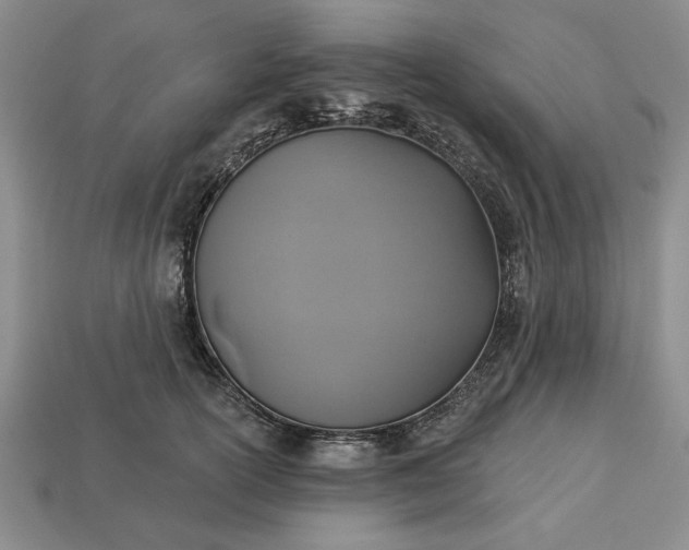 X0000113360754200909291030