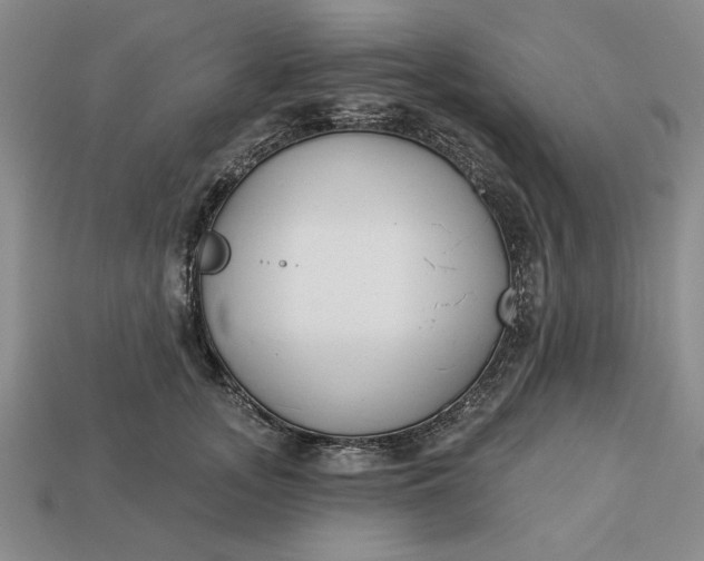 X0000113360755200909291030