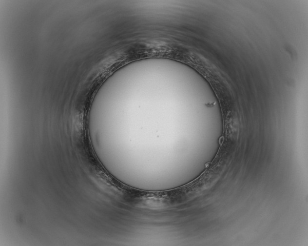 X0000113360756200909291030