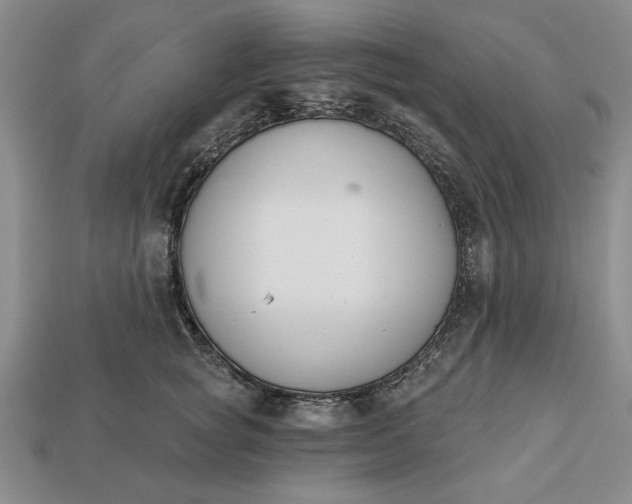 X0000113360757200909291030