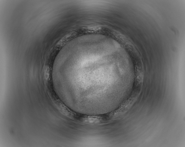 X0000113360758200909291030