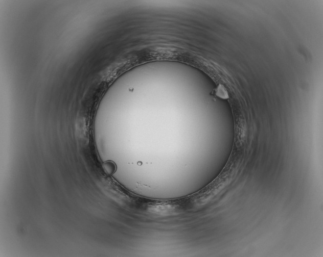 X0000113360759200909291030