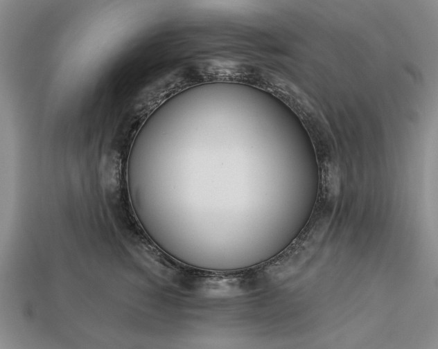 X0000113360760200909291030