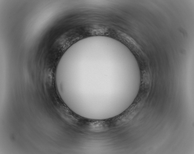 X0000113360761200909291030