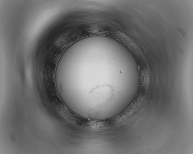 X0000113360762200909291030