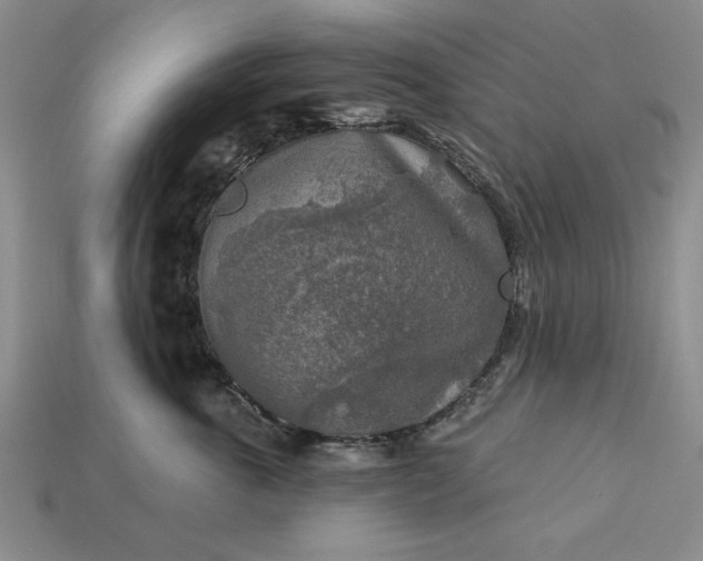 X0000113360763200909291030