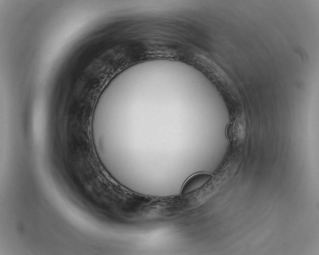 X0000113360764200909291030