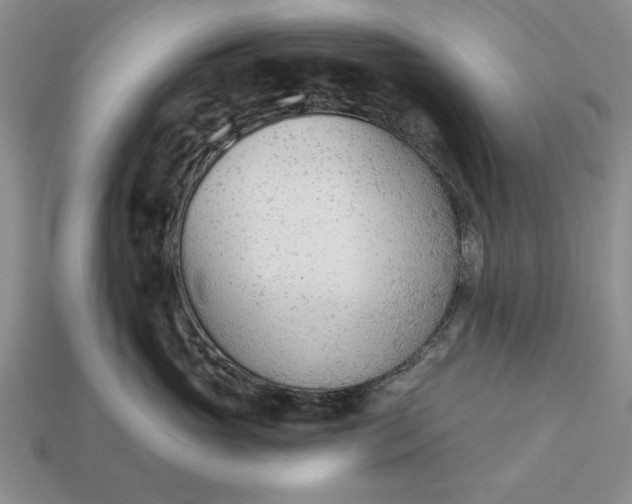 X0000113360765200909291030