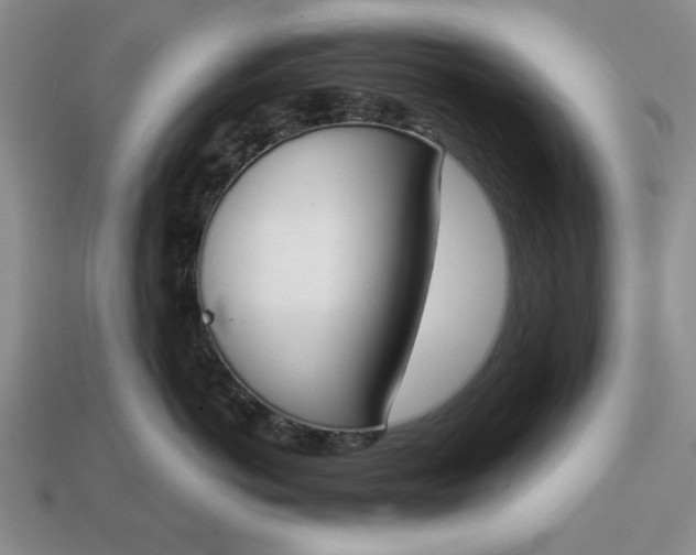 X0000113360766200909291030