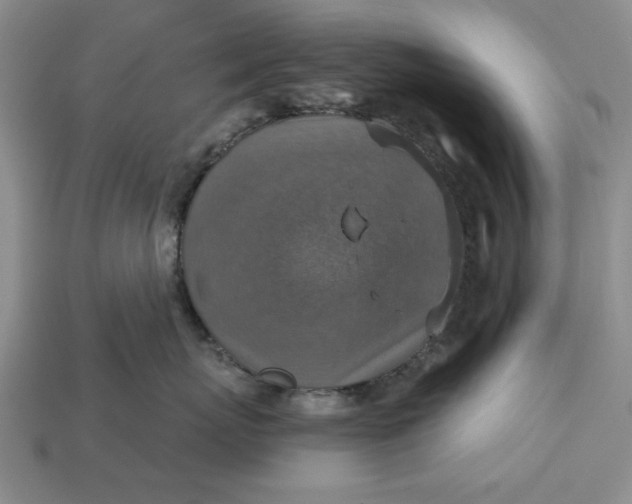 X0000113360767200909291030