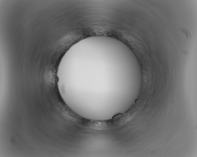 X0000113360768200909291030