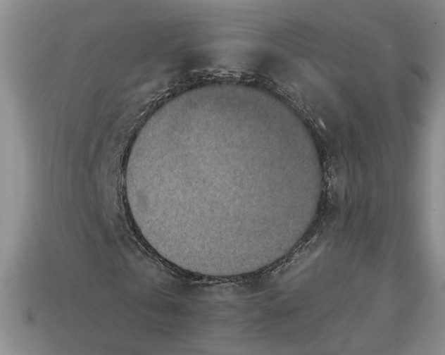 X0000113360769200909291029