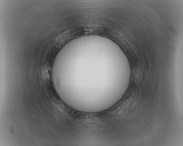 X0000113360770200909291029