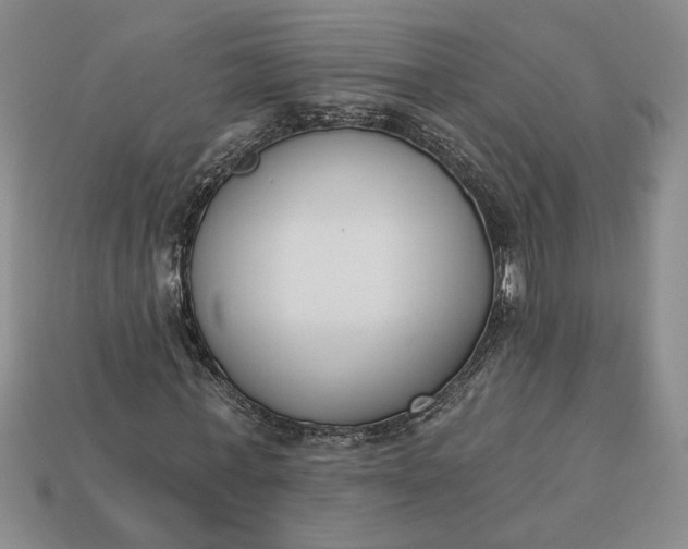 X0000113360771200909291029