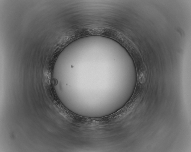 X0000113360772200909291029