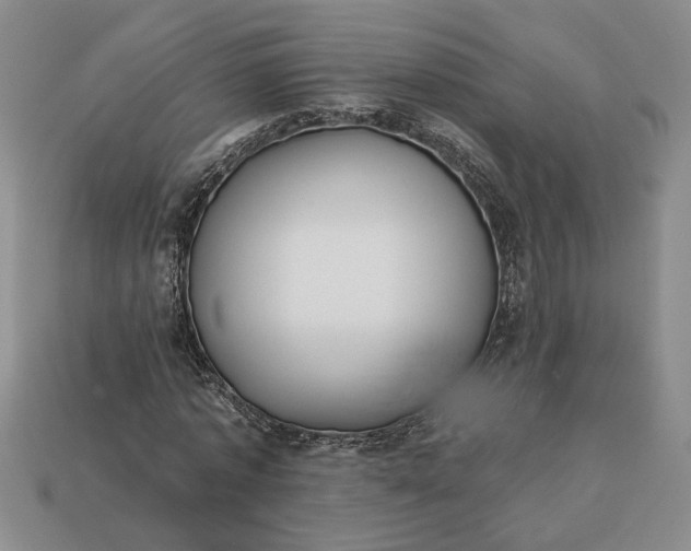 X0000113360773200909291029